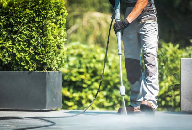 Best Roof Washing  in Gifford, FL